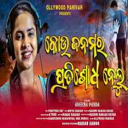 Kou Janama Ra Pratisodha Nelu